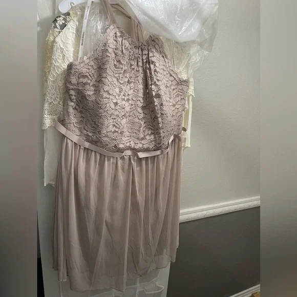 David's Bridal | Dresses | David Bridal Nwt Champagne Dress